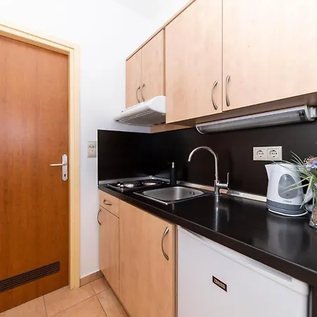 Πανσιόν Irena