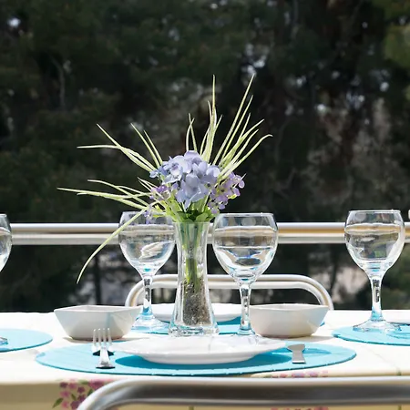 בית הארחה Irena