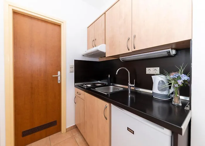 בית הארחה Irena