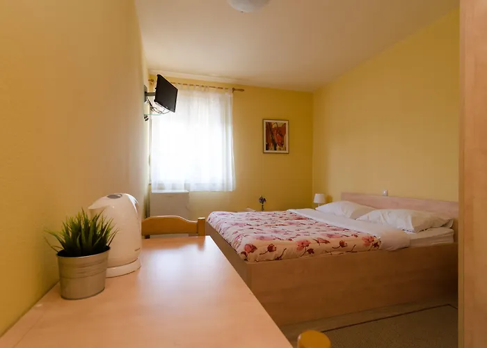 Konukevi Irena 3*